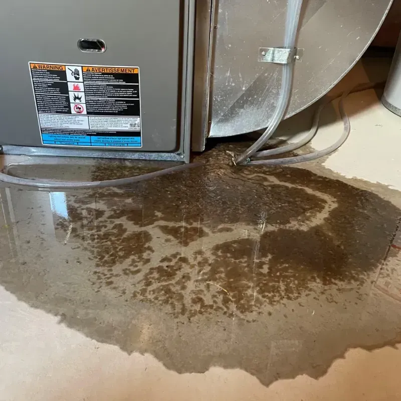 Appliance Leak Cleanup in West Salem, OH